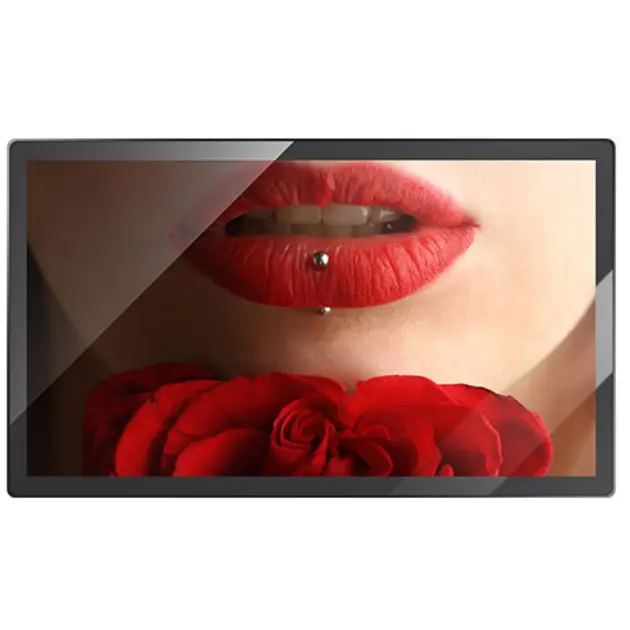 Indoor Wall Mounted Display -WI300l